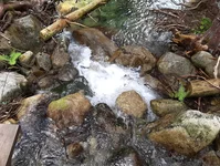 IMG_20190826_131614.webp