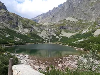 IMG_20190826_141337.webp