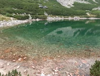 IMG_20190826_153332.webp