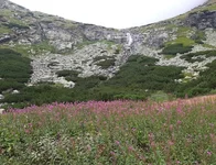 IMG_20190826_153746.webp