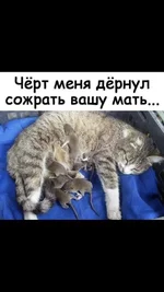 IMG-7cf02ff59db9efed10db04101a899a96-V.webp