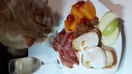 20190920_200503.webp