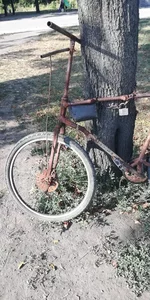 IMG_20190730_171518.webp