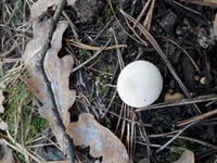 20191002_135348.jpg