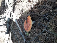20191002_145429.jpg