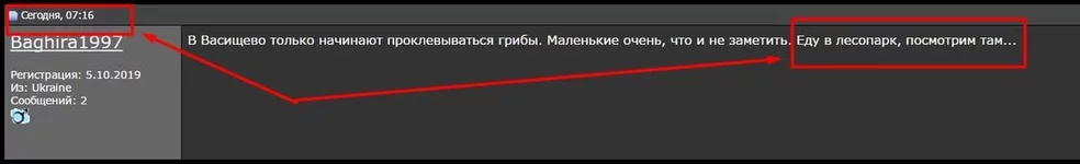 Screenshot_1.webp