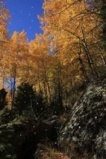 _MG_1624_ср т листопад ВЫСТ.webp