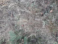 20191006_114439.webp