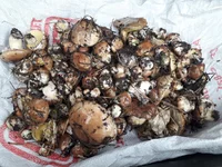 20191006_141756.webp