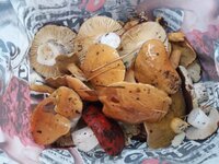20191006_150919.jpg