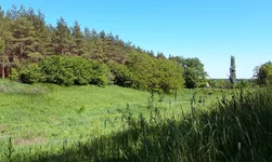 20190518_151001.webp