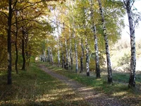 DSC09814.webp