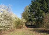P80429-153817.webp