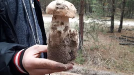 20191009_164150.jpg