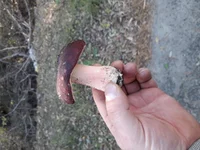 20191010_140247.webp