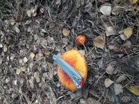 20191010_112248.webp