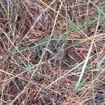 IMG_20191005_104246_492.webp