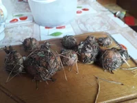 20191014_151024.webp