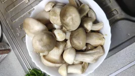 IMG_20191014_160832.webp