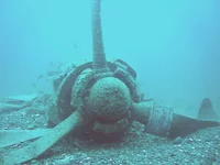 4c93a970e3d6[1].webp