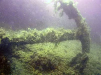 PA031356.webp