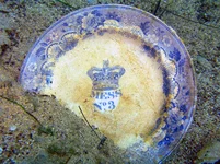 PA064566.webp