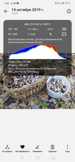 изображение_viber_2019-10-14_20-45-49.jpg