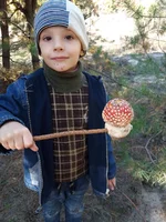 20181014_125154.webp