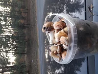 20191018_165823.webp