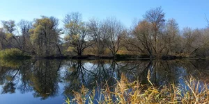 IMG_20191018_123415.webp