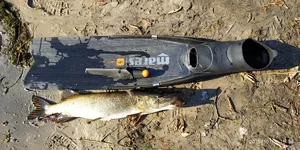 IMG_20191018_153839.webp