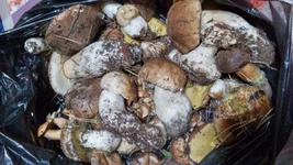 20191018_190934_HDR.webp