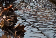 под ногами-3.webp