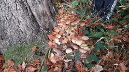 20191019_122708.webp