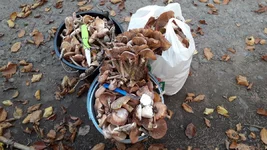 20191019_142042.webp