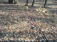 IMG_20191020_114700.webp