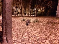 20191008_225237.webp