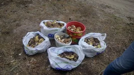 IMG_20191023_150430.webp