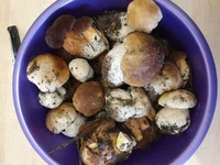 20191025_123454.webp