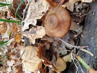20191026_112818.webp