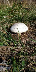 IMG_20191027_120117.webp