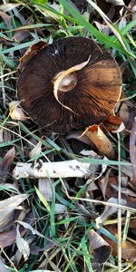 IMG_20191027_145018.jpg