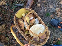 IMG_20191027_103815.webp