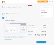 fake_pay.webp