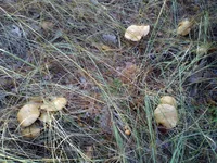 IMG_20191027_124255.webp