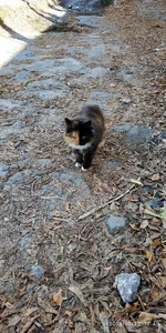IMG_20191029_124906.webp