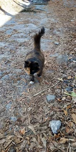 IMG_20191029_124908.webp