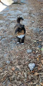 IMG_20191029_124912.webp