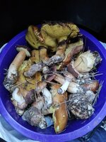 IMG_20191031_130815.jpg