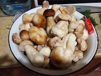 изображение_viber_2019-11-01_21-02-26.jpg